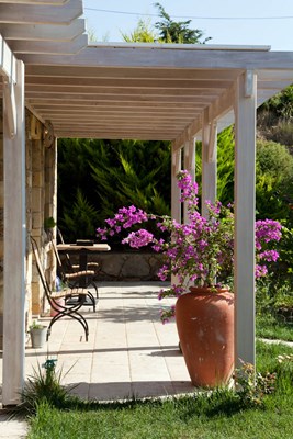 Pictures of the Rooms, Baykuş - Bozcaada Mavi Karga